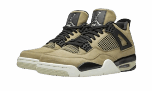 Jordan 4 Mushroom